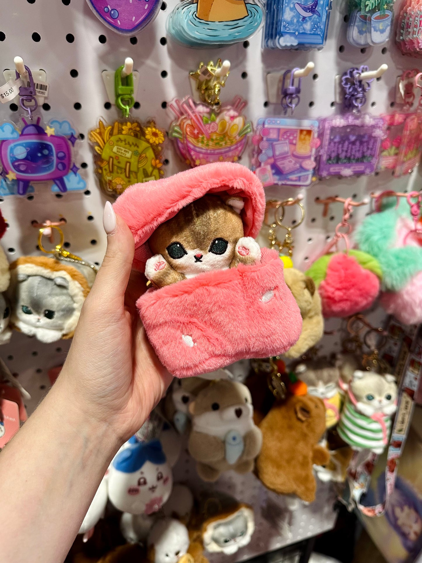 surprise box kitty plushie