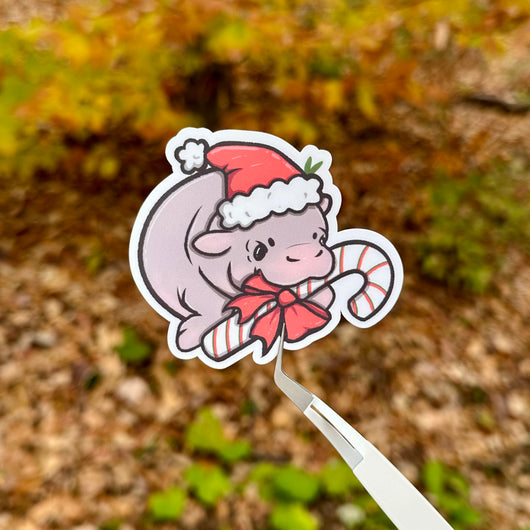 Winter Moo Deng Sticker